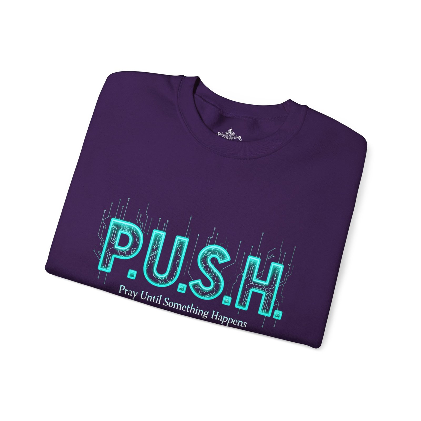 P.U.S.H. Sweatshirt, Power, Purpose & Prayer - Image 22