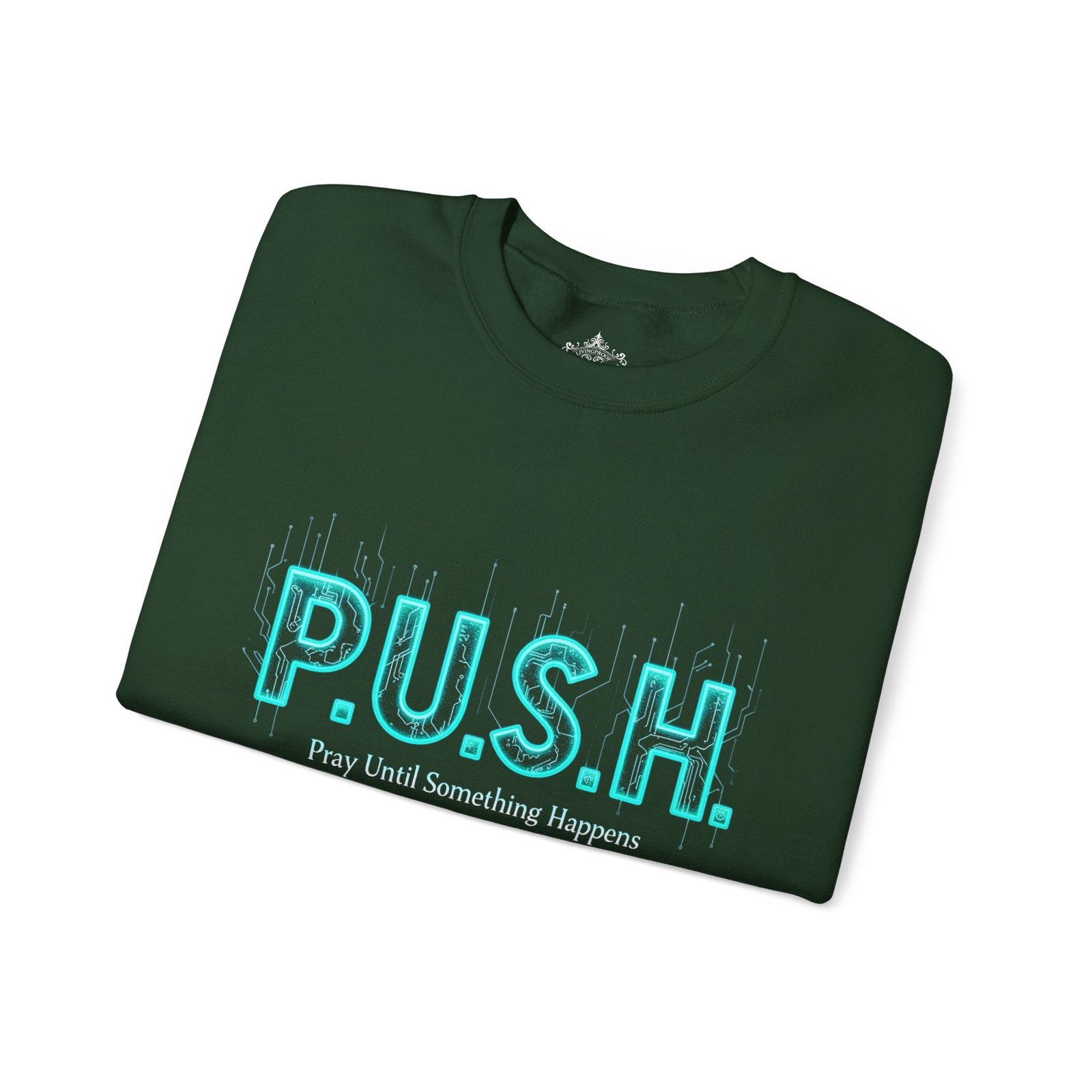 P.U.S.H. Sweatshirt, Power, Purpose & Prayer - Image 8