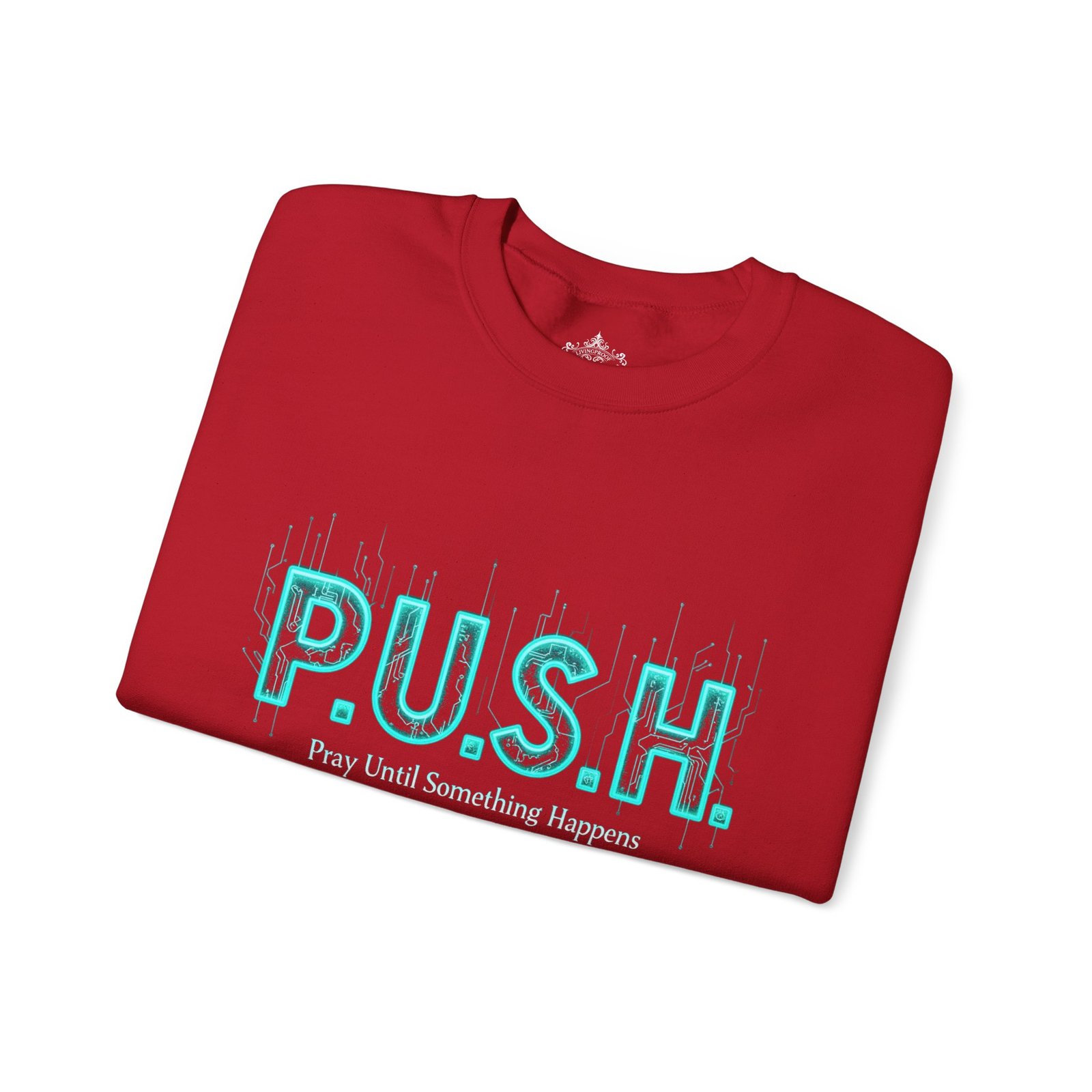 P.U.S.H. Sweatshirt, Power, Purpose & Prayer - Image 31